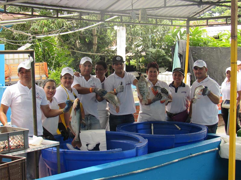 Pesca Deportiva – La Paila