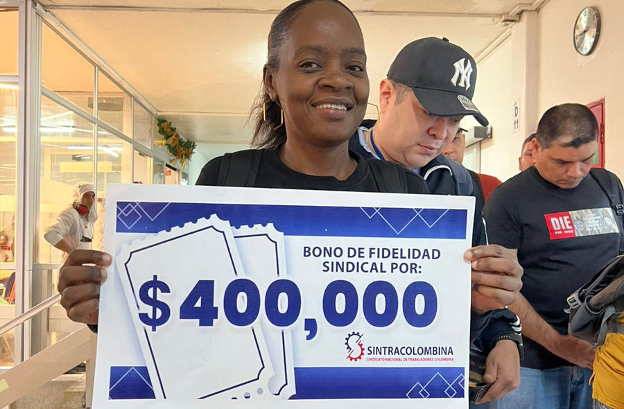 Actividades Planta 1 La paila